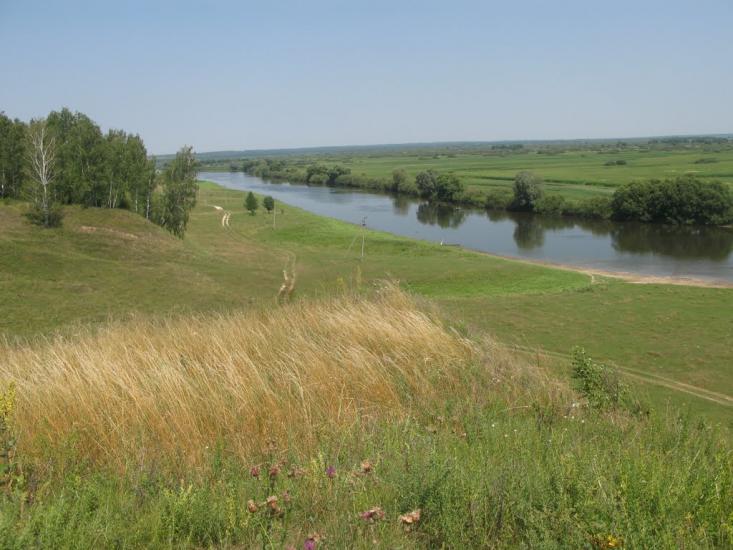 Рогівка з panoramio.com - Роговка