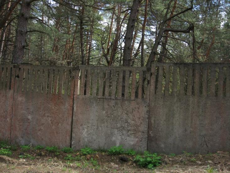 Сокирна з panoramio.com - Сокирна