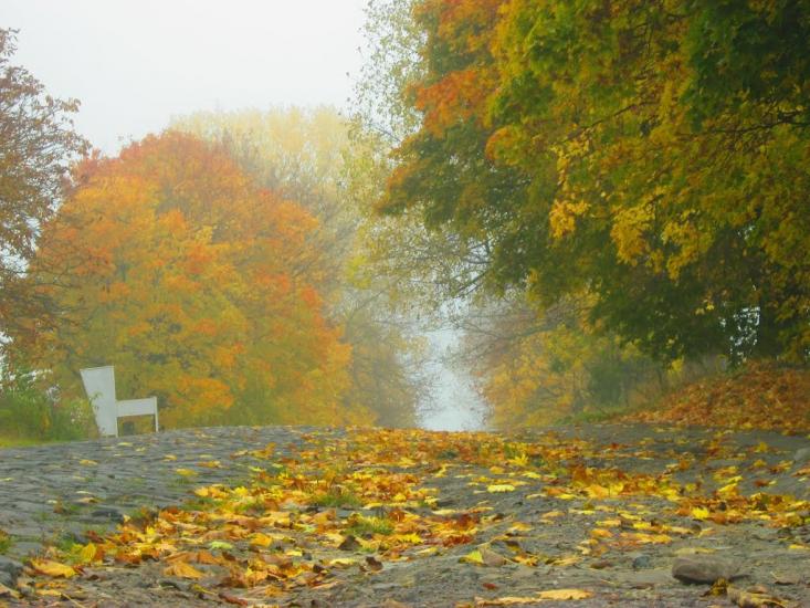 Нововолинськ з panoramio.com - Нововолинськ