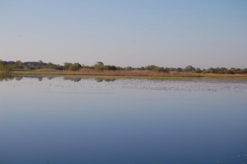 Комарове з panoramio.com - Комарове