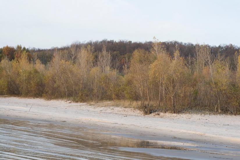 Васютинці з panoramio.com - Васютинцы