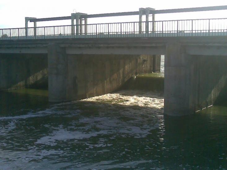 Веселий Кут з panoramio.com - Веселый Кут