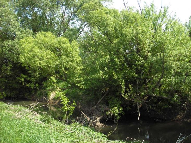 Сторожниця з panoramio.com - Сторожница