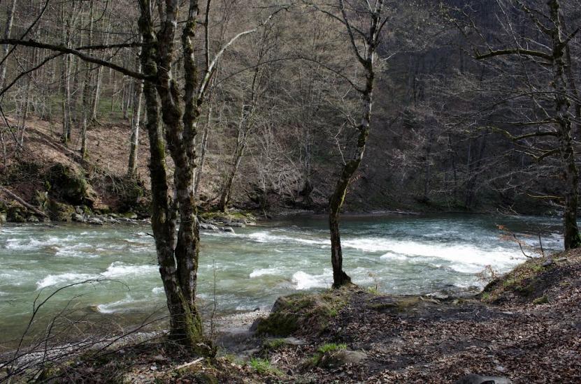 Костева Пастіль з panoramio.com - Костева Пастіль