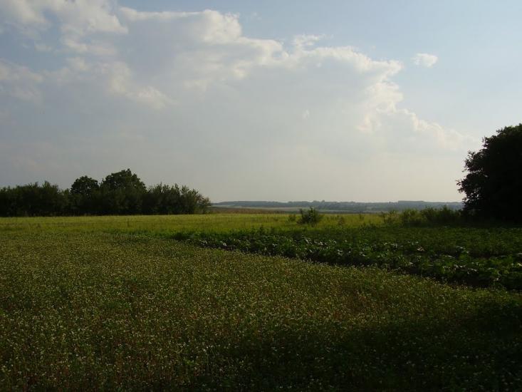 Жолоби з panoramio.com - Желобы