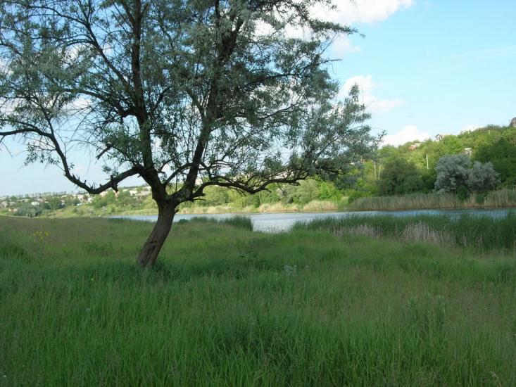 Чувилине з panoramio.com - Чувилино