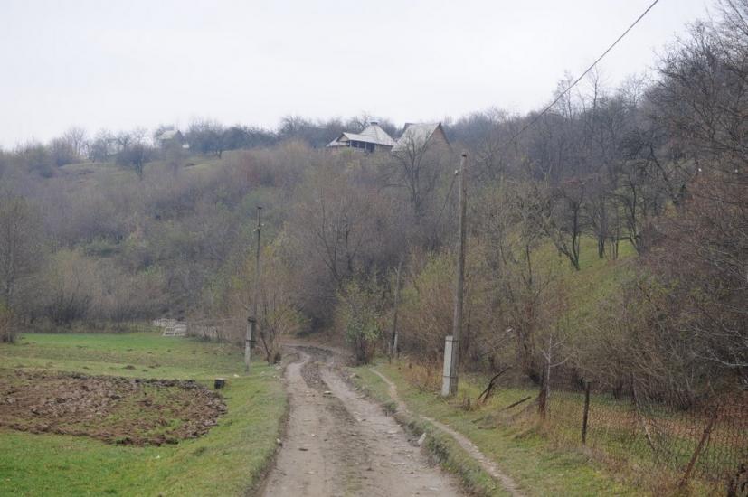 Вишній Дубовець з panoramio.com - Vyshniy Dubovets