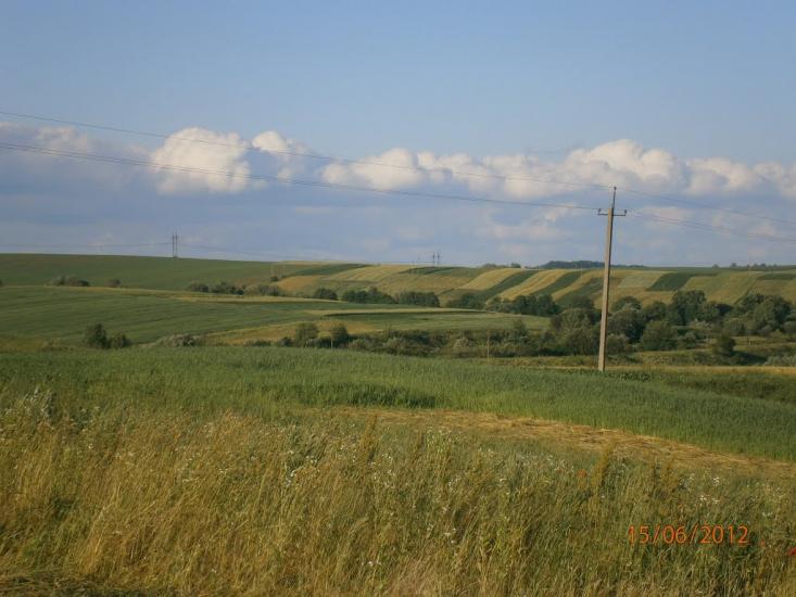 Берездівці з panoramio.com - Берездівці
