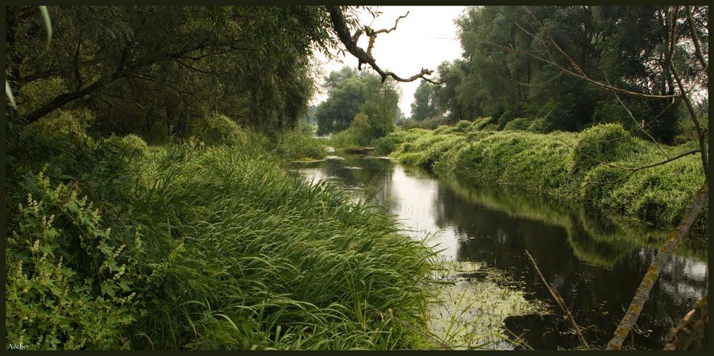 Деменці з panoramio.com - Деменці