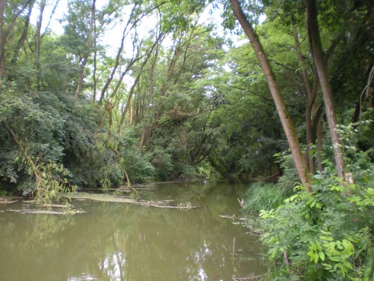 Вари з panoramio.com - Вари