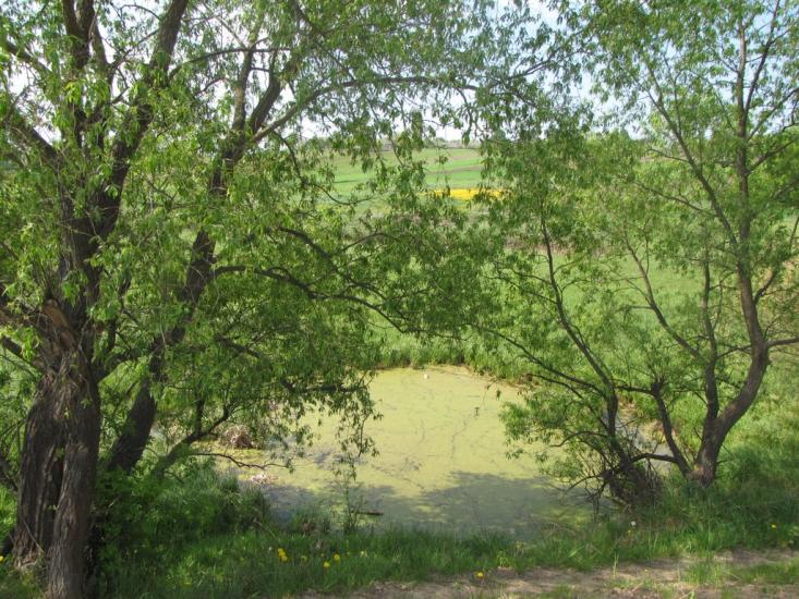 Яцьки з panoramio.com - Яцьки