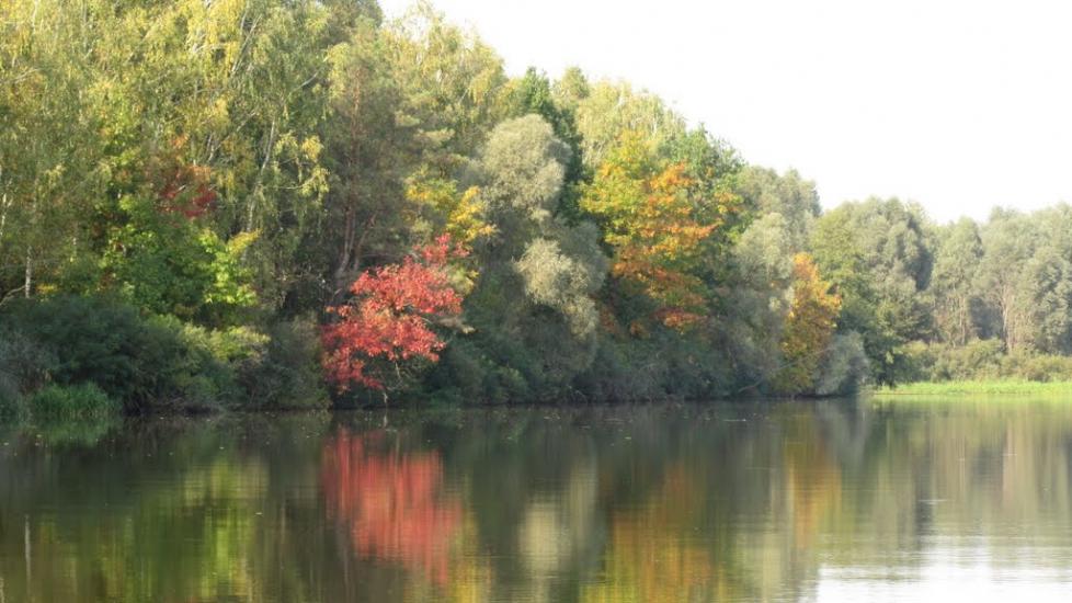 Прохорів з panoramio.com - Прохоров