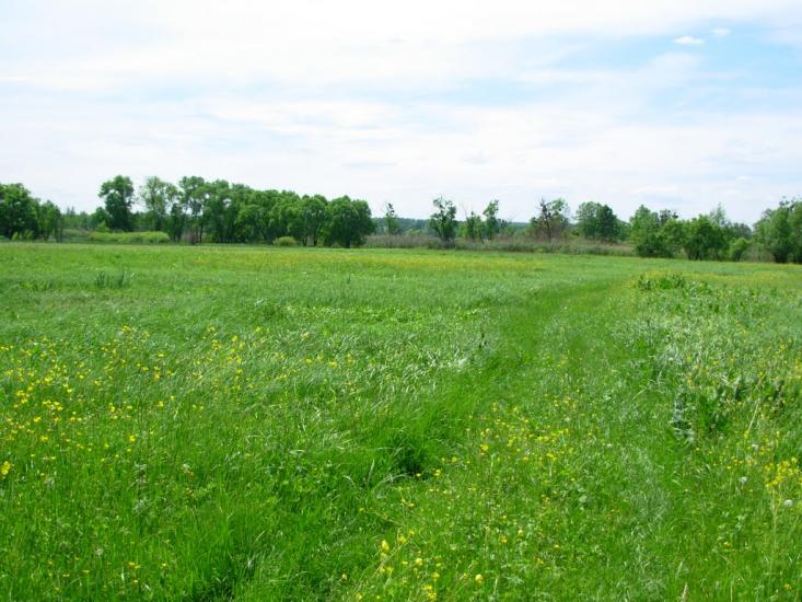 Колісники з panoramio.com - Колісники