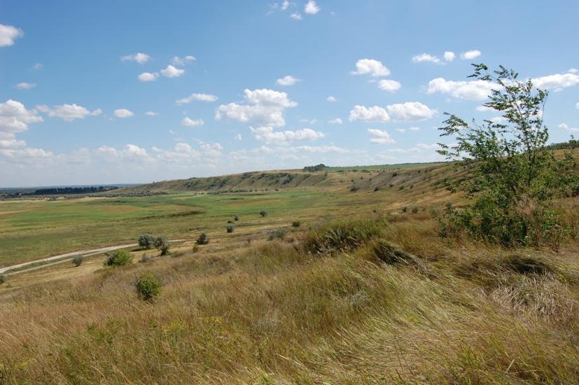 Новомикільське з panoramio.com - Новомикільське