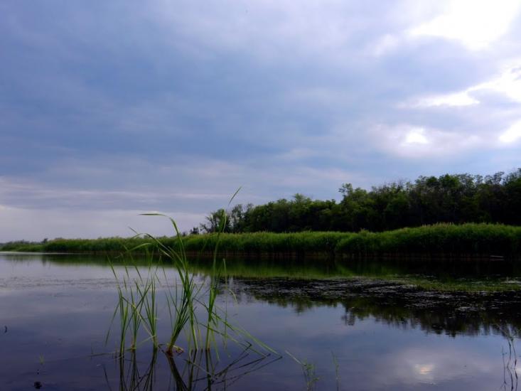 Львів з panoramio.com - Львів