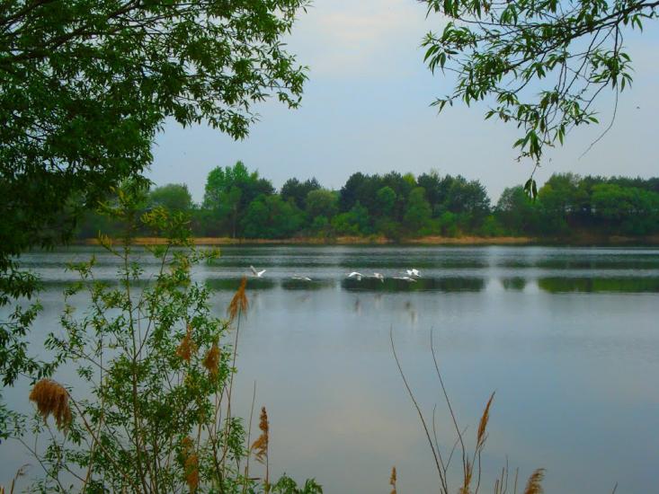 Топільне з panoramio.com - Topilne