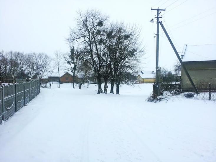 Кривичі з panoramio.com - Кривичі