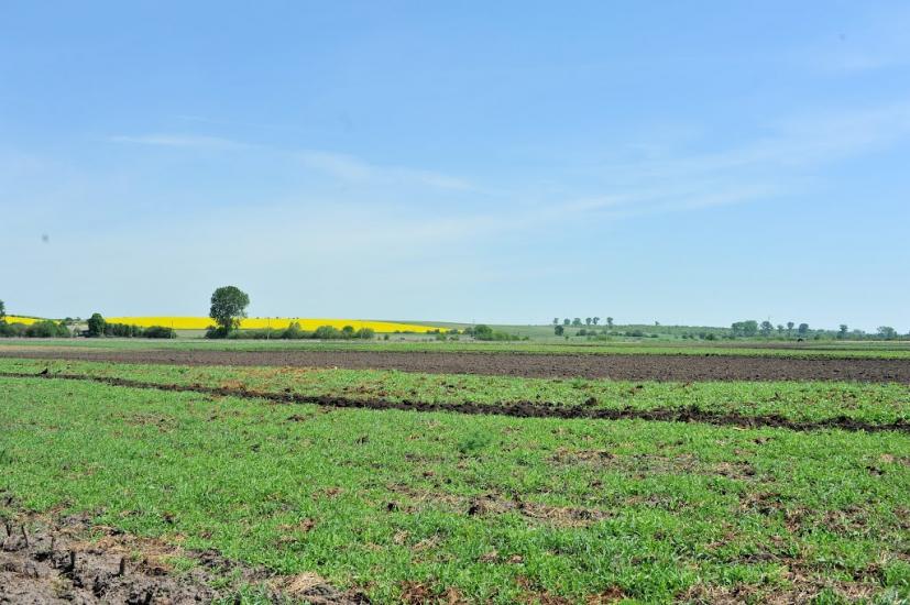 Ставники з panoramio.com - Ставники