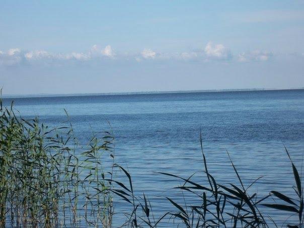 Васютинці з panoramio.com - Васютинцы