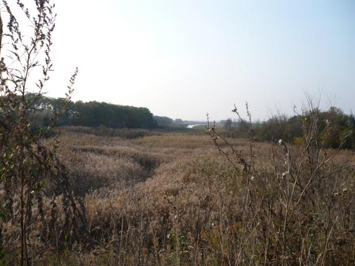 Зоряне з panoramio.com - Зоряне