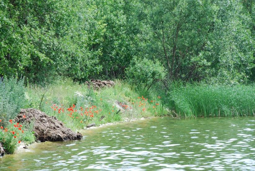 Пониква з panoramio.com - Пониква