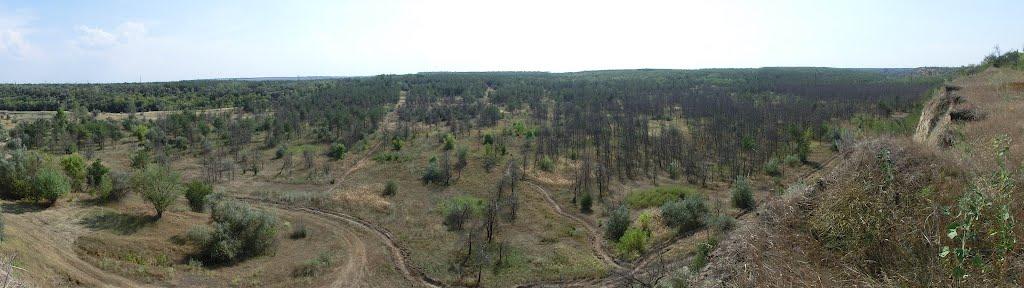 Головківка з panoramio.com - Головковка