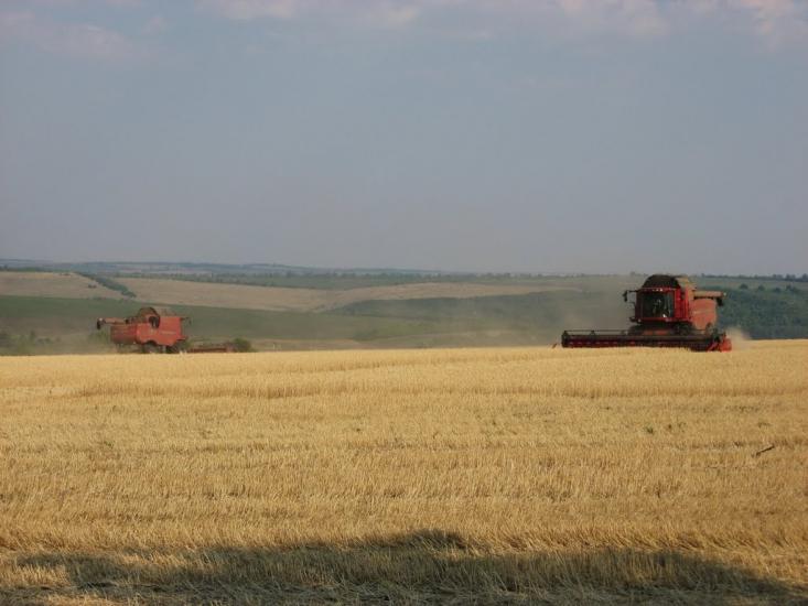 Домниця з panoramio.com - Domnytsya