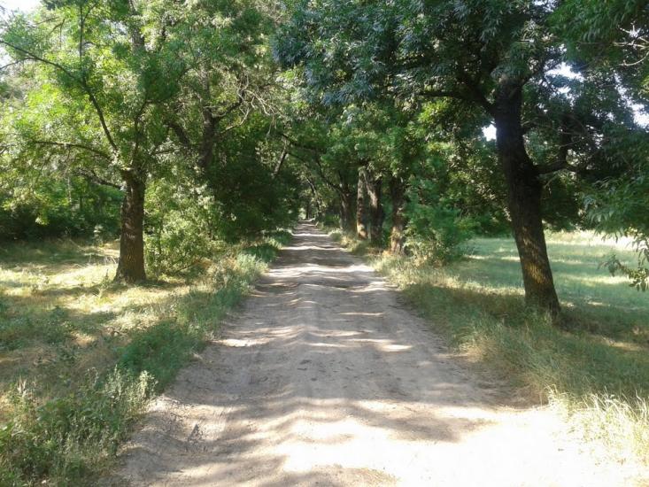 Роздольне з panoramio.com - Раздольное