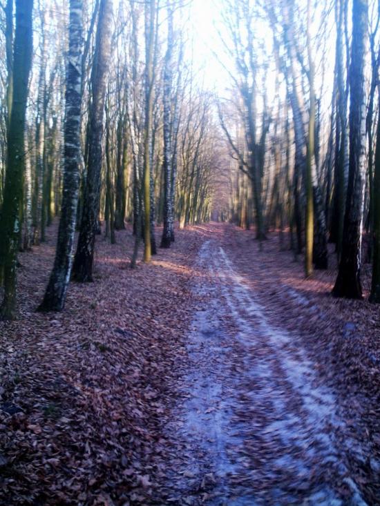 Смига з panoramio.com - Смига