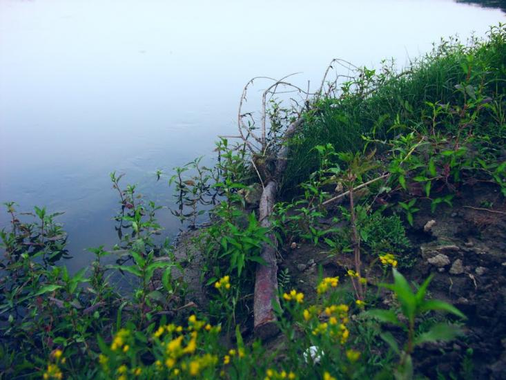 Вільховець з panoramio.com - Вільховець