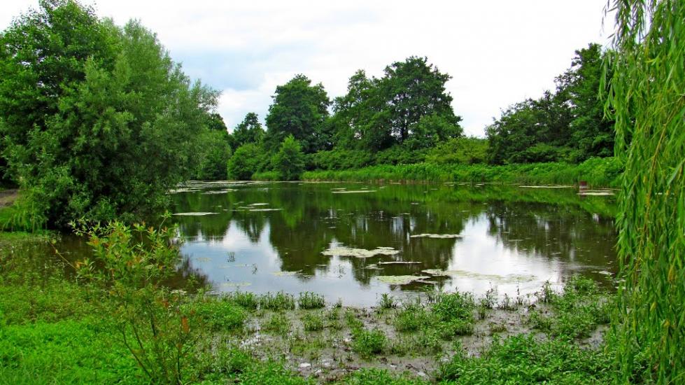 Пониква з panoramio.com - Ponykva