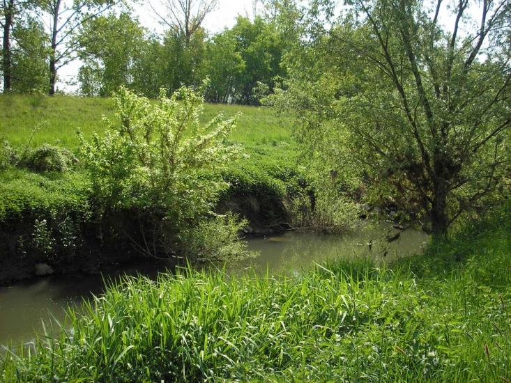 Сторожниця з panoramio.com - Сторожница