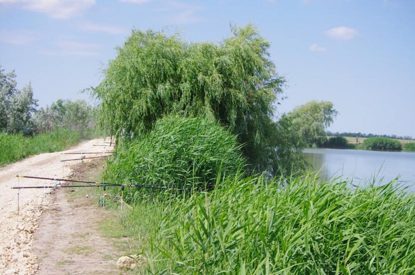 Нова Деревня з panoramio.com - Нова Деревня