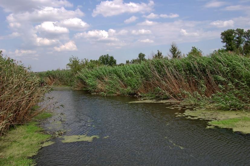 Новомикільське з panoramio.com - Новоникольское