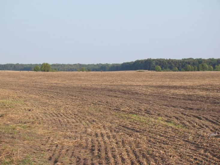 Селище з panoramio.com - Селище