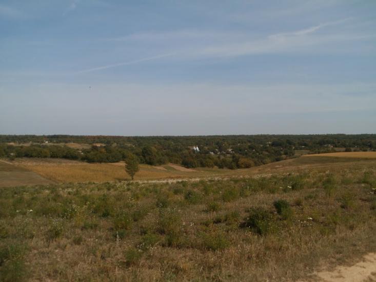 Шура-Мітлинецька з panoramio.com - Шура-Мітлинецька