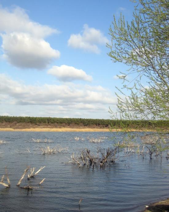 Надбузьке з panoramio.com - Надбугское