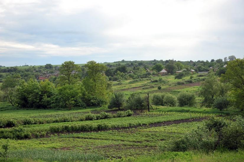 Щербинівка з panoramio.com - Щербинівка