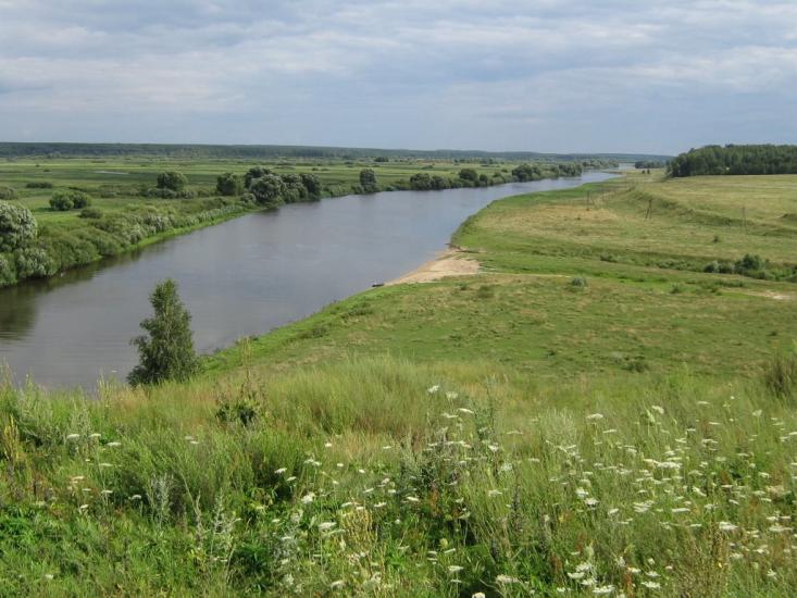 Рогівка з panoramio.com - Роговка