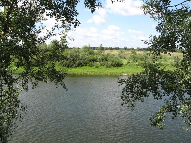 Осіч з panoramio.com - Осіч