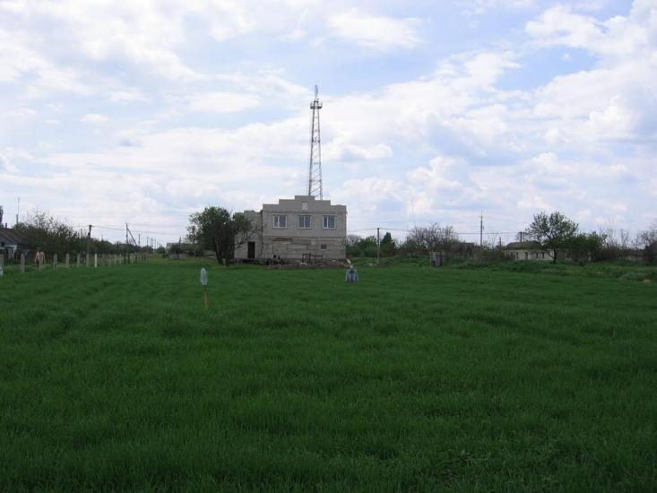 Арбузинка з panoramio.com - Арбузинка