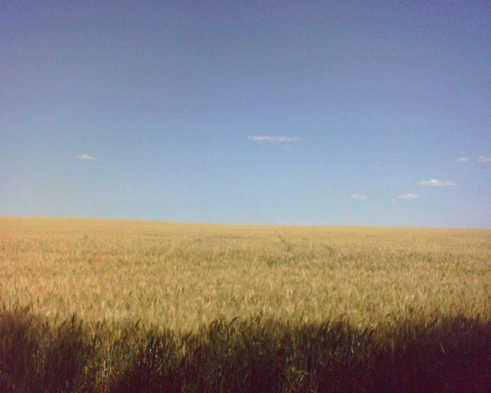 Павлопіль з panoramio.com - Павлопіль