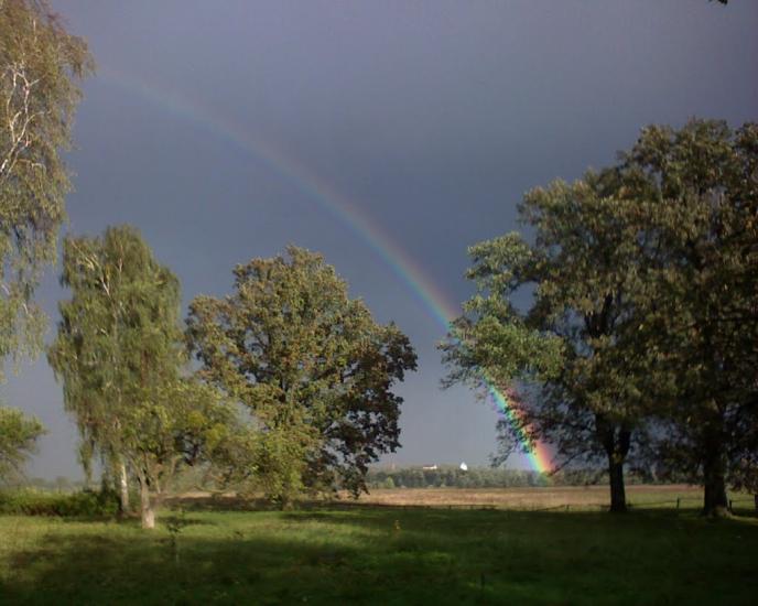 Великі Переліски з panoramio.com - Великі Переліски
