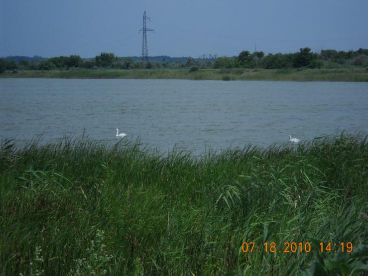 Солонці з panoramio.com - Солонцы