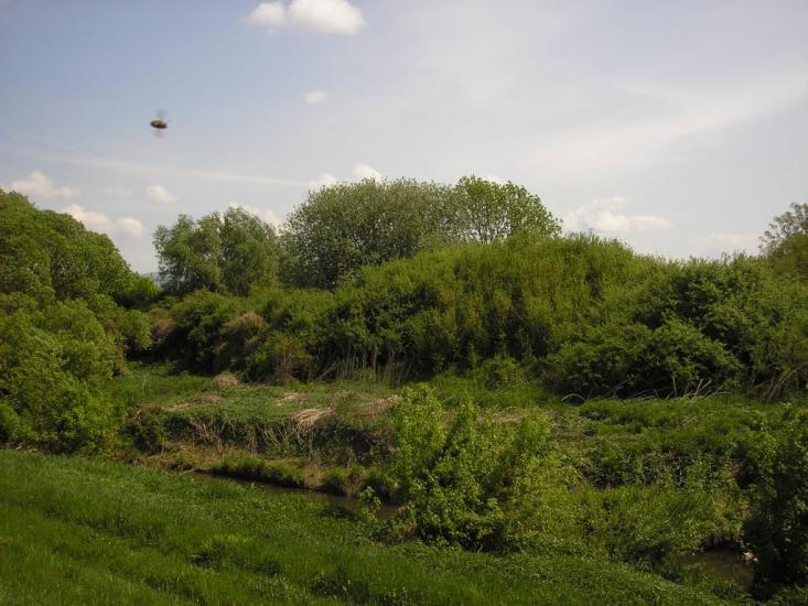 Сторожниця з panoramio.com - Сторожница