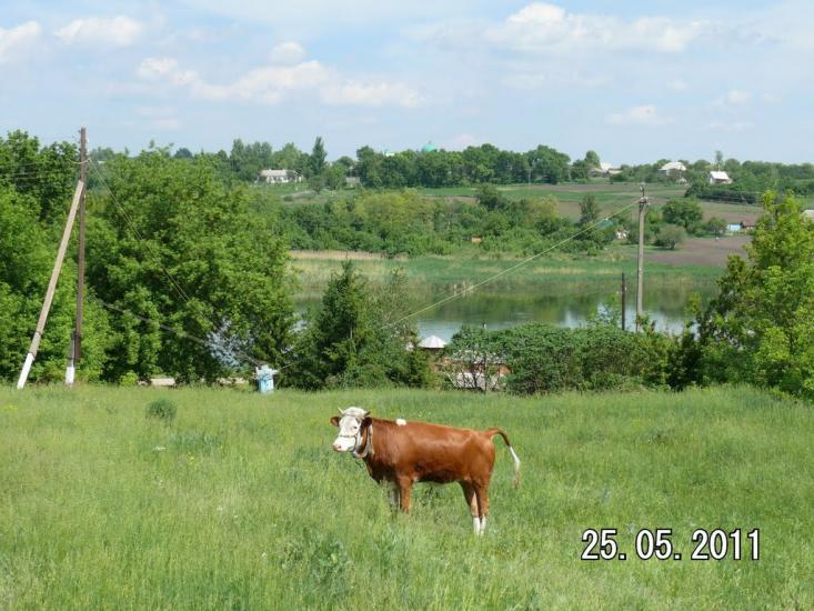 Високопілля з panoramio.com - Vysokopillya