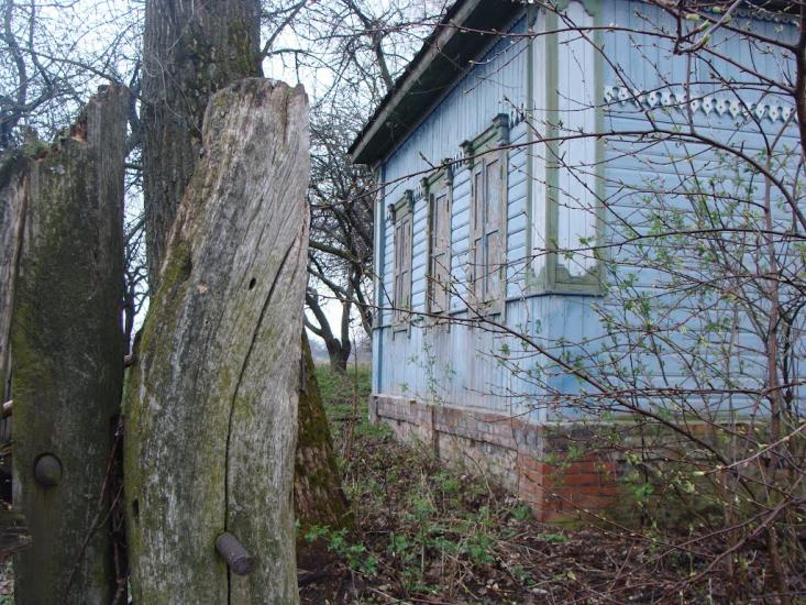 Соснівка з panoramio.com - Соснівка