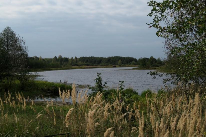 Млин з panoramio.com - Млын