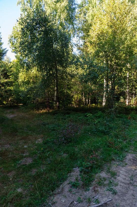 Щербовець з panoramio.com - Щербовец