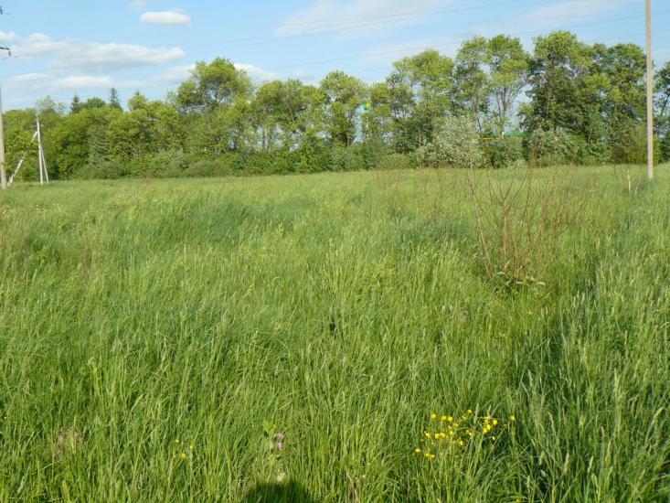 Богородчани з panoramio.com - Богородчани